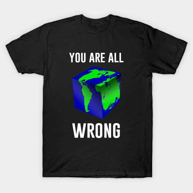 You Are All Wrong T-Shirt by aniza